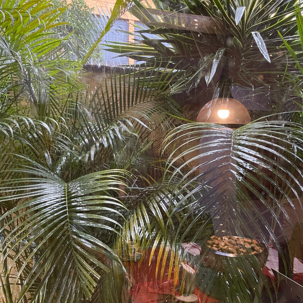 Meet your Posher, Francia